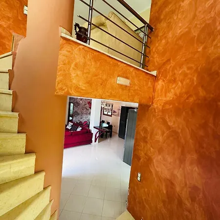 Lazos Gjirokaster